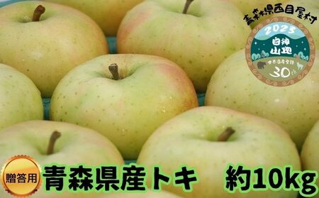 [青森県産りんご]贈答用トキ 約10kg 果物 フルーツ デザート 食後 おやつ 国産 強い甘味 やさしい酸味 果汁豊富 シャキシャキ 青森りんご