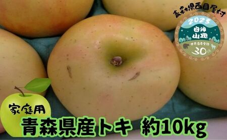 [青森県産りんご]家庭用トキ 約10kg 果物 フルーツ デザート 食後 おやつ 国産 強い甘味 やさしい酸味 果汁豊富 シャキシャキ 青森りんご