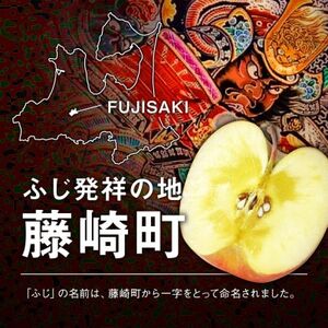 【令和6年産先行予約】産地直送　葉とらずサンふじ　訳あり　約2kg【配送不可地域：離島】【1516074】