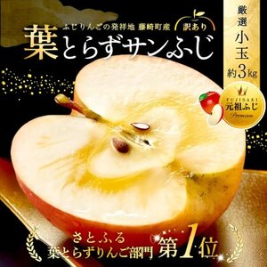 [N] tƂ炸Tӂ I  3kg ƒp(󂠂) XYSyzsnFEꌧzy1687732z