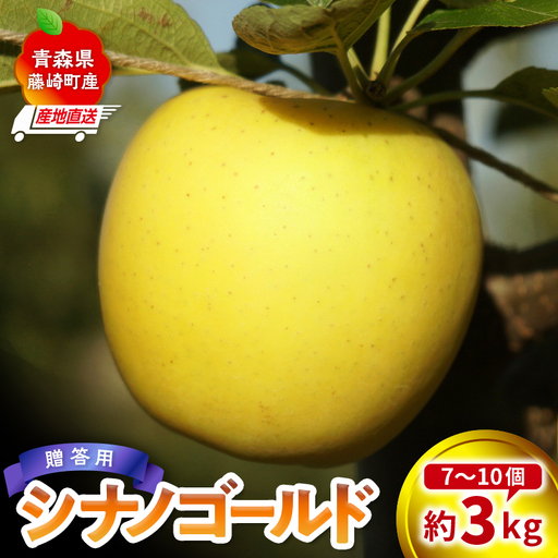 [産地直送] シナノゴールド 贈答用 約3kg (7〜10個)りんご リンゴ 林檎 果物 フルーツ
