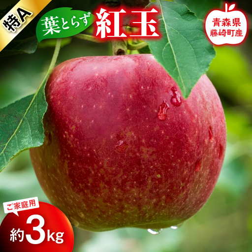 [先行予約]葉とらず 紅玉 特A 家庭用 約3kg [グランドアップル] 青森りんご リンゴ 林檎 アップル 果物 くだもの フルーツ