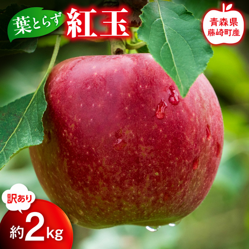 [先行予約]≪訳あり≫ 葉とらず 紅玉 約2kg[グランドアップル] 青森りんご リンゴ 林檎 アップル 果物 くだもの フルーツ 家庭用 わけあり ワケアリ