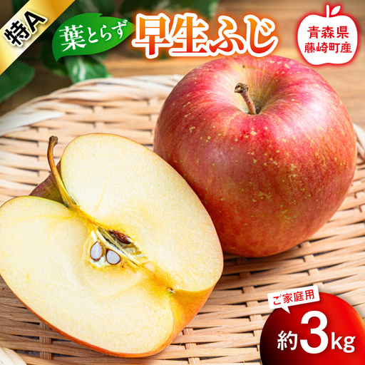 [先行予約]葉とらず早生ふじ 特A 家庭用 約3kg[グランドアップル] 青森りんご リンゴ 林檎 アップル 果物 くだもの フルーツ