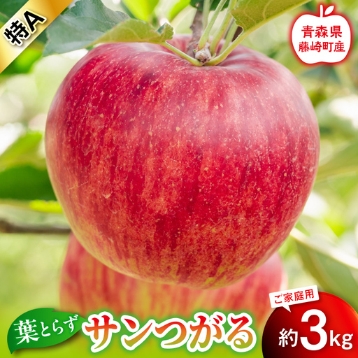 [先行予約]葉とらず サンつがる 特A 家庭用 約3kg[グランドアップル] 青森りんご リンゴ 林檎 アップル 果物 くだもの フルーツ