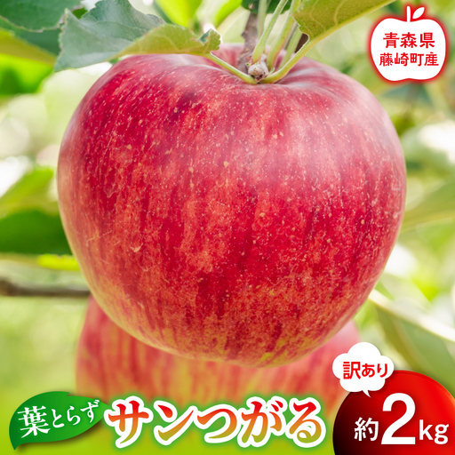 [先行予約]訳あり 葉とらず サンつがる 約2kg[グランドアップル] 青森りんご リンゴ 林檎 アップル 果物 くだもの フルーツ