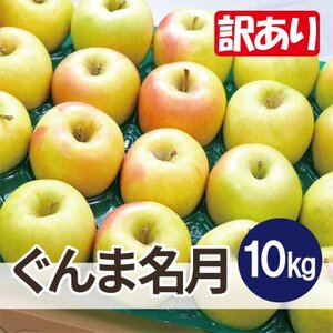 ϓx13xȏ! ܖ 10kg 󂠂yzsnFEꌧzy1667960z