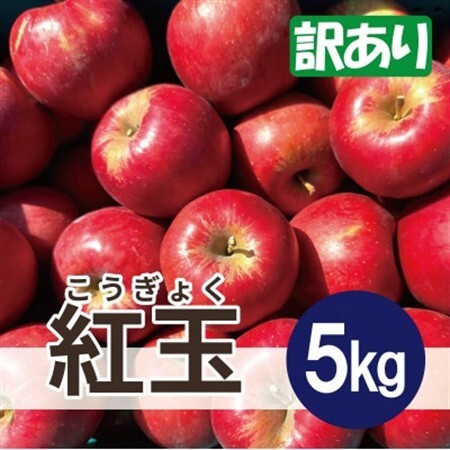 [12月出荷予定] 紅玉 約5kg 訳あり 青森県産りんご[配送不可地域:離島・沖縄県]