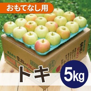 [2025年12月より順次発送]平均糖度13度以上! トキ 約5kg おもてなし用[配送不可地域:離島・沖縄県]