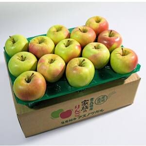 y2025N12\zx13xȏۏ!ܖĂȂp3kg(6`18)yzsnFzy1683023z