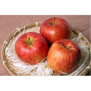 [2026年10月発送予定]平均糖度12度以上! 葉とらずサンつがる 約3kg 訳あり[配送不可地域:離島・沖縄県]