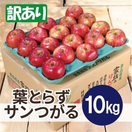 【2026年9月発送予定】平均糖度12度以上! 葉とらずサンつがる 約10kg 訳あり【配送不可地域：離島・沖縄県】【1667871】