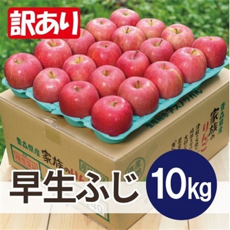 【2026年10月発送予定】平均糖度12度以上! 早生ふじ 約10kg 訳あり【配送不可地域：離島・沖縄県】【1667886】