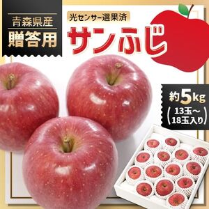 青森県産りんご「サンふじ」贈答用　約5kg【1635386】