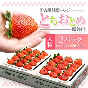 田舎館村産いちご とちおとめ【大粒】 贈答用【配送不可地域：離島】【1637919】