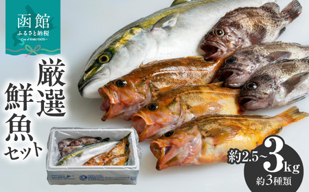 [函館産]厳選 鮮魚セット_HD156-001