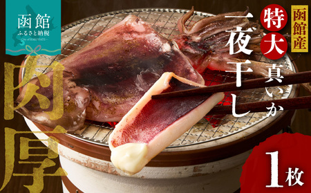函館産 特大真いか 一夜干し 1枚 イカ 烏賊 特大 肉厚 つまみ_HD010-023