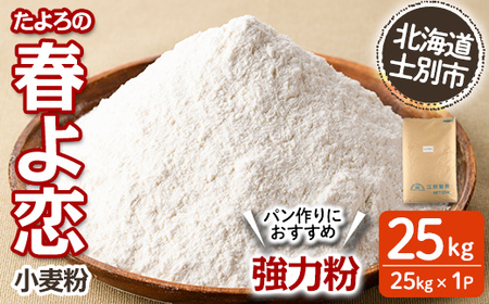 yD7027zkCmʎsY ̏t ͕ ( 25kg×1) y2025N10ȍ~z  ͕ t kCY mʎsY Y Y p َq  25kgy