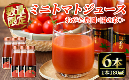 yB7038zsʌt_̃~jg}gW[X z̍ [ Ђ̂ [ (180ml×6{) g}g ~jg}g W[X g}gW[X ~jg}gW[X  Ö _  Mtg