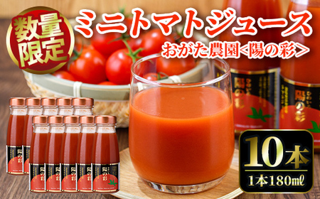 yB7039zsʌt_̃~jg}gW[X z̍ [ Ђ̂ [ (180ml×10{) g}g ~jg}g W[X g}gW[X ~jg}gW[X  Ö _  Mtg