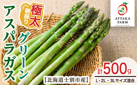 [特別栽培・期間限定]北海道士別市産 極太グリーンアスパラ (L〜3Lサイズ混合・500g) [2026年5月以降順次発送]野菜 太い 極太 アスパラ アスパラガス グリーンアスパラ 北海道 北海道産 国産 旬 産地直送 [あったかふぁーむ]