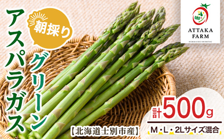 [特別栽培・期間限定]北海道士別市産 朝採りグリーンアスパラ (M〜2Lサイズ混合・500g) [2026年5月以降順次発送]野菜 アスパラ アスパラガス グリーンアスパラ 北海道 北海道産 国産 旬 産地直送 [あったかふぁーむ]