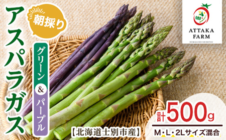 [特別栽培・期間限定]北海道士別市産 アスパラ食べ比べ!グリーン&パープル2色セット (M〜2Lサイズ混合・500g) [2026年5月以降順次発送]野菜 アスパラガス グリーンアスパラ パープルアスパラ 北海道 北海道産 国産 産地直送 [あったかふぁーむ]
