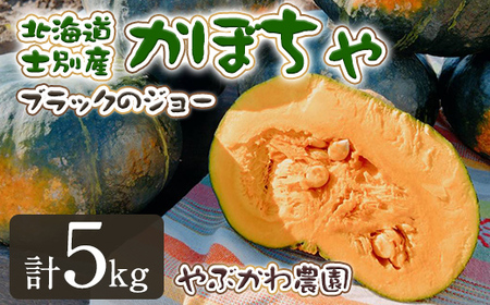 [先行予約受付中・期間限定]北海道士別市産 かぼちゃ ブラックのジョー (5kg・2~4玉 ) [2025年10月から12月の間に順次発送]かぼちゃ 南瓜 カボチャ 北海道産 国産 野菜 やさい 甘み 産地直送 おかず 味覚秋[やぶかわ農園]
