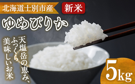 yB7134zkCY mʎŝ ߂҂肩 (5kg) ʌ    Y kC ͂  R y_z