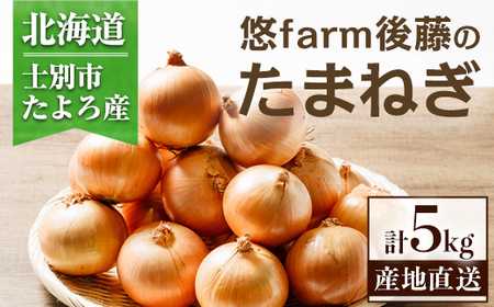 [北海道士別市たよろ産]甘みと旨味が詰まった 玉ねぎ ( 5kg ) たまねぎ 玉葱 野菜 北海道産 士別市産 料理 [悠farm後藤][A7131]