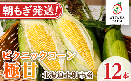 [先行予約受付中]北海道 士別市産 極甘 ピクニックコーン (12本) [2026年8月以降順次発送] とうもろこし トウモロコシ とうきび コーン野菜 新鮮 産地直送 甘い 北海道 北海道産 国産 旬 [あったかふぁーむ][B7127]
