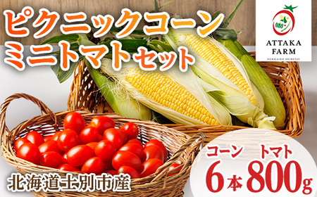 [先行予約受付中]北海道 士別市産 極甘 ピクニックコーン(6本)とミニトマト(800g)のセット [2026年8月以降順次発送] とうもろこし トウモロコシ とうきび コーン トマト ミニトマト 野菜 新鮮 産地直送 北海道 北海道産 国産 旬 [あったかふぁーむ][B7128]