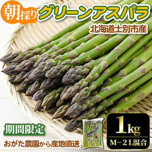 [先行予約受付中][数量・期間限定]朝採り グリーンアスパラ(1kg・ M〜2L混合)[2026年4月下旬以降発送予定]アスパラガス アスパラ 北海道産 野菜 朝採り 産地直送 新鮮野菜 [おがた農園][B7076]