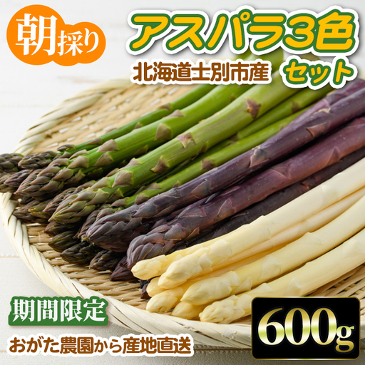 [数量・期間限定]朝採り アスパラ3色セット(600g)[2026年4月下旬以降発送予定] アスパラガス アスパラ ホワイトアスパラ グリーンアスパラ パープルアスパラ 紫 北海道産 野菜 朝採り 産地直送 新鮮野菜 [おがた農園][A7149]