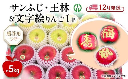 りんご [ 12月発送 ] 贈答用 サンふじ ・ 王林 + 文字絵入りりんご1個 約 5kg