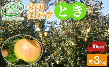 10月発送 家庭用 葉取らず とき 約 3kg[ 訳あり ]鶴翔りんごGAP部会 青森県産 津軽産 リンゴ 林檎 トキ 果物類 フルーツ りんご