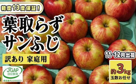 11〜12月発送[ 糖度保証 ]家庭用 葉取らず サンふじ 約 3kg[ 訳あり ]鶴翔りんごGAP部会 青森県産 津軽産 リンゴ 林檎 果物 フルーツ デザート 甘味 酸味 食感
