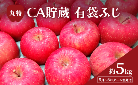 5月〜6月 クール便発送 丸特 CA貯蔵 有袋ふじ 約 5kg アイスBOXクール便 りんご リンゴ 林檎 果物 フルーツ 青森