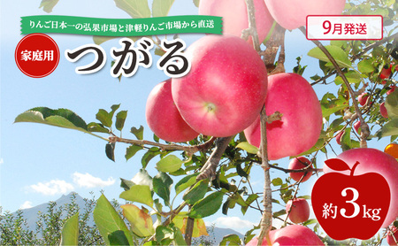 [ 9月発送 ] 家庭用 つがる 約 3kg [ 青森県鶴田町産 りんご 青森りんご ]果物類 フルーツ 林檎 リンゴ 鶴田町 青森県 おやつ デザート