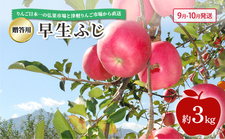 [ 9月・10月発送 ] 贈答用 早生ふじ 約 3kg [ 青森県鶴田町産 りんご 青森りんご ]果物類 フルーツ 林檎 リンゴ 鶴田町 青森県 おやつ デザート