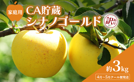 4月〜5月 クール便発送 家庭用 訳あり CA貯蔵 シナノゴールド 約 3kg りんご リンゴ 林檎 果物 フルーツ わけあり 青森