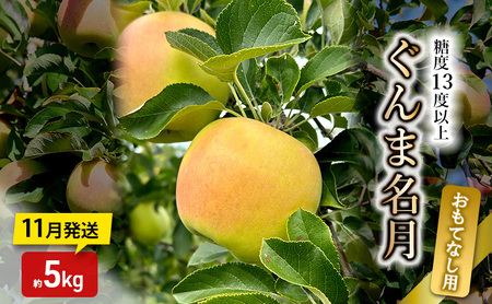 りんご[11月発送]糖度13度以上 ぐんま名月 おもてなし品 約5kg[青森りんご]