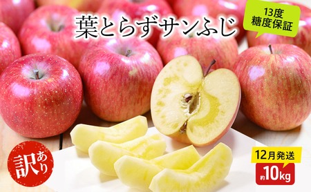 りんご[12月・1月発送]蜜入り 糖度13度以上 訳あり 家庭用 葉とらず サンふじ 約10kg[青森りんご 果物 フルーツ デザート 食後 おやつ 産地直送]