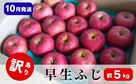 りんご[10月発送]訳あり 早生ふじ 約5kg 青森県 りんご リンゴ 林檎 フルーツ くだもの 果物 青森県 りんご デザート 旬の果物