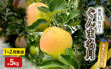 りんご[1〜2月発送]糖度13度以上 ぐんま名月 おもてなし品 約5kg[青森りんご]