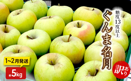 りんご[1〜2月発送]糖度13度以上 訳あり 家庭用 ぐんま名月 約5kg[青森りんご]