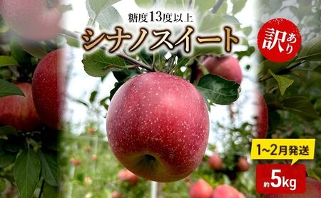 りんご [1〜2月順次発送] 糖度13度以上 訳あり品 家庭用 シナノスイート 約5kg[ 青森りんご ]