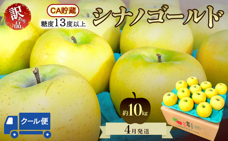 りんご[4月クール便発送]糖度13度以上 訳あり品 家庭用 CA貯蔵 シナノゴールド約10kg[青森りんご 果物 フルーツ デザート 食後 青森県産 産地直送 贈り物]