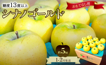 りんご[1月・2月発送]糖度13度以上 おもてなし用 家庭用 シナノゴールド 約5kg[青森りんご 果物 フルーツ デザート 食後 青森県産 産地直送 贈り物]