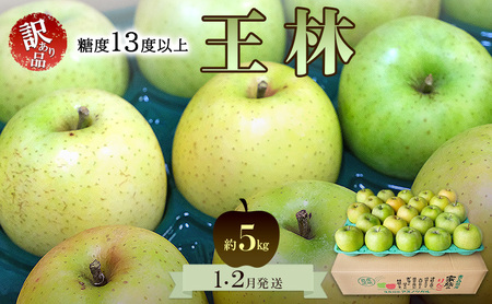 りんご[1月・2月発送]糖度13度以上 訳あり品 家庭用 王林 約5kg[青森りんご 果物 フルーツ デザート 食後 青森県産 産地直送 贈り物]